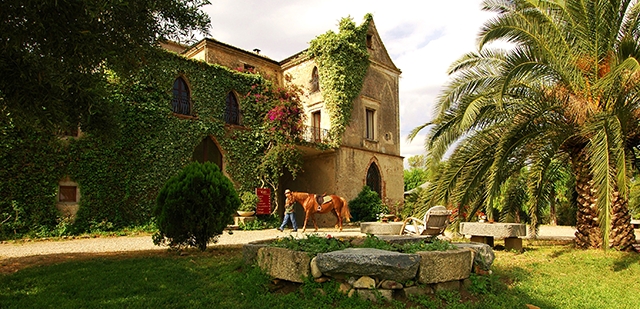 Masseria_Mazzei &quot;Le Colline del Gelso&quot;